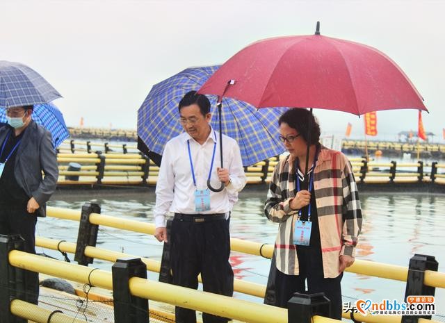 闽籍海外侨领故乡行：感受宁德发展变化 深化交流合作-2.jpg