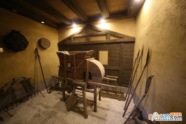 沉醉虎贝乡土，福建民盟专家为文化振兴建言献策-5.jpg