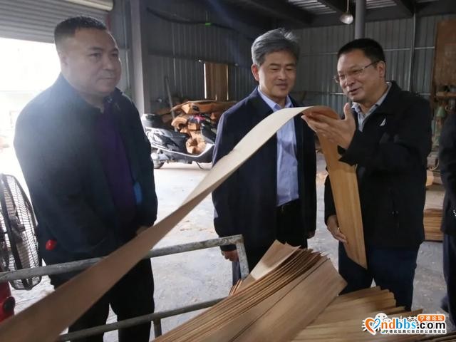 沉醉虎贝乡土，福建民盟专家为文化振兴建言献策-9.jpg