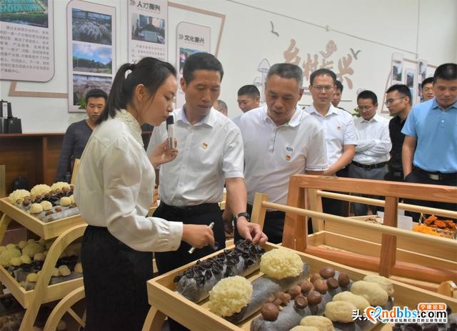 宁德市召开抓党建促乡村振兴暨村党组织领办合作社现场推进会-6.jpg