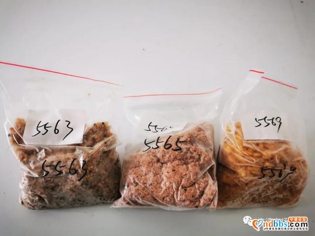 我想要秋天的第一口月饼！等等，先让我检验一下-11.jpg