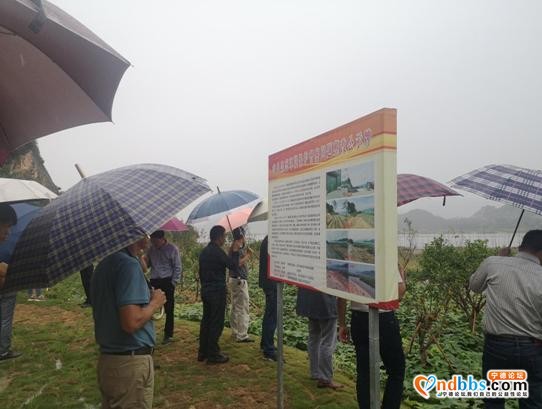 省中央生态环境保护督察反馈问题整改工作第三方监督评估组莅宁调研指导工作-2.jpg