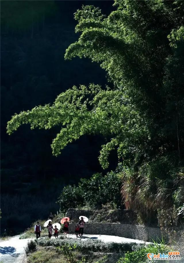 好消息！衢宁铁路周宁站今天正式开通运营啦-30.jpg