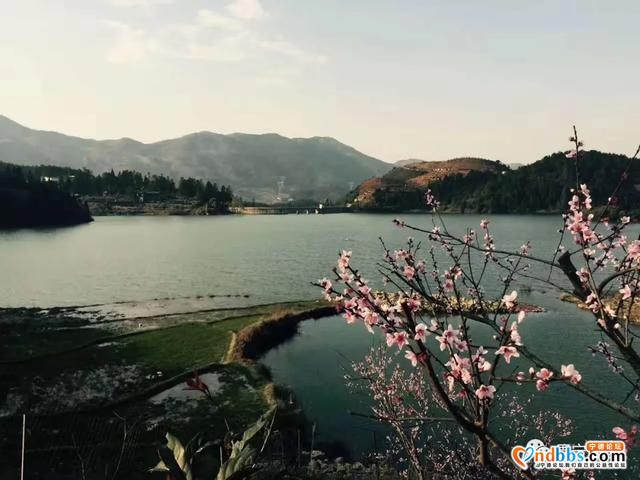 好消息！衢宁铁路周宁站今天正式开通运营啦-26.jpg