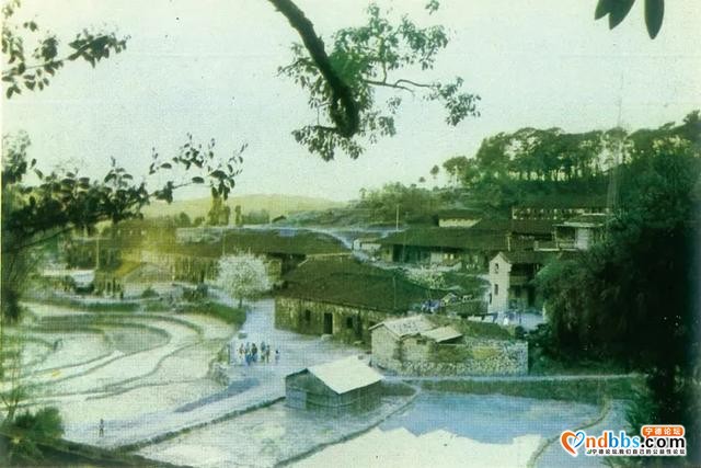 “脱贫攻坚今胜昔”之宁德篇（二）-3.jpg