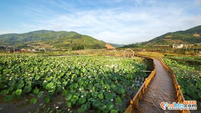 文旅部推荐300条全国乡村旅游精品线路，其中古田一条-2.jpg