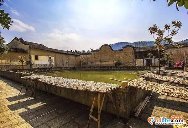 文旅部推荐300条全国乡村旅游精品线路，其中古田一条-7.jpg