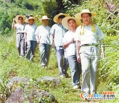喜报！全省10个，宁德唯一入选花落谁家？-10.jpg