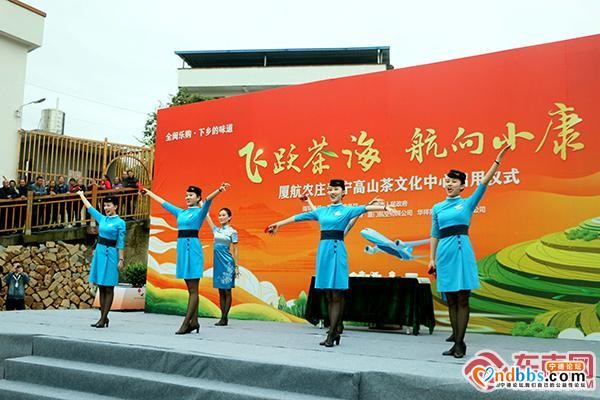 厦航农庄·寿宁高山茶文化中心正式启用-3.jpg