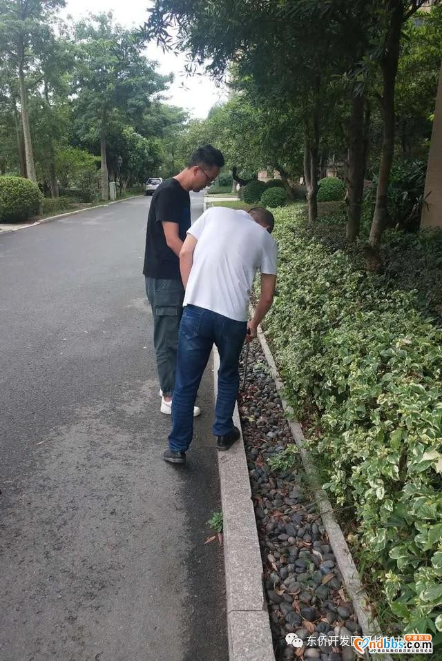 东侨河长办助力创城攻坚战-4.jpg