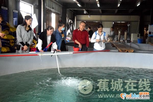 企业志愿科普 共享科技“大餐”-18.jpg