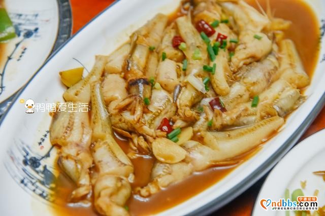 宁德霞浦，除了绝美的风光摄影，还有这些海鲜美味不容错过-6.jpg