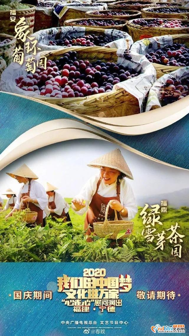 这八张“心连心”海报收藏了宁德的缤纷时刻！值得下载~~~-6.jpg