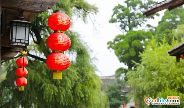 坐上衢宁列车去旅游 | 跟着这份出行攻略，畅游山海宁德-7.jpg