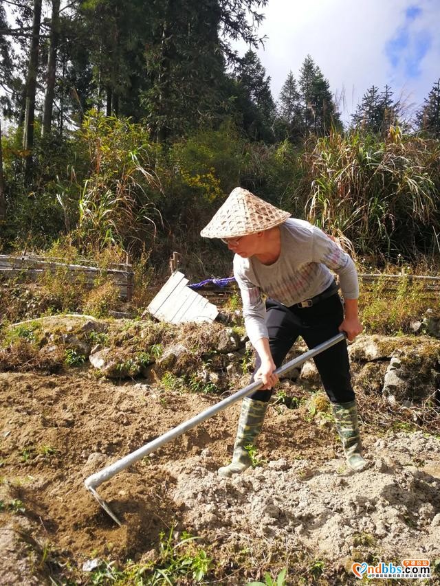 「聚焦基层」马忠盛：围绕“四个平常”抓党建促振兴-2.jpg