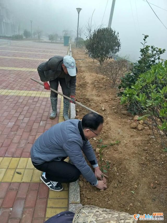 「聚焦基层」马忠盛：围绕“四个平常”抓党建促振兴-4.jpg