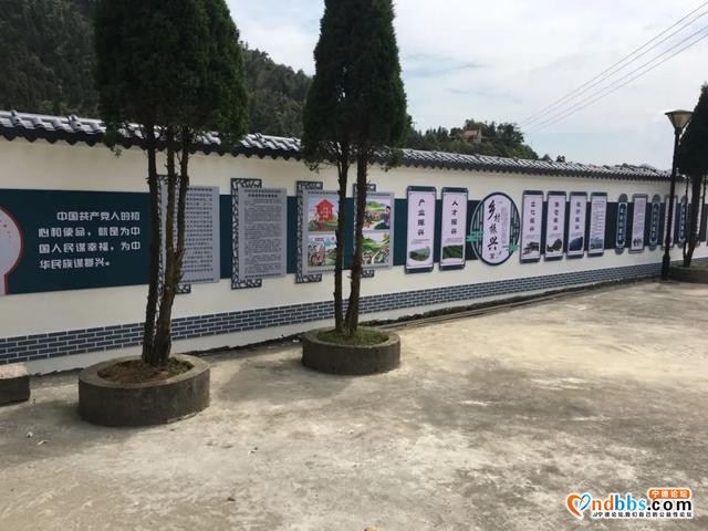「聚焦基层」马忠盛：围绕“四个平常”抓党建促振兴-14.jpg