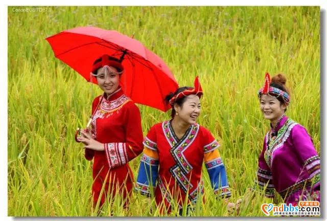 中国节八天怎么玩——小爱带你玩转蕉城！(一)-13.jpg