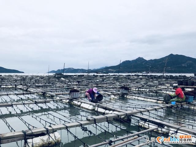 闽东沿海的“出入门户”，中国黄金海岸中点，被誉为南方的小青岛-13.jpg