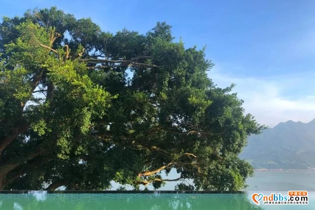国庆游民宿推荐 | 面朝大海、无边星空泳池，这家民宿美到让人惊喜-3.jpg