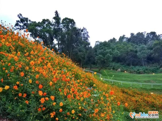 国庆游民宿推荐 | 面朝大海、无边星空泳池，这家民宿美到让人惊喜-10.jpg