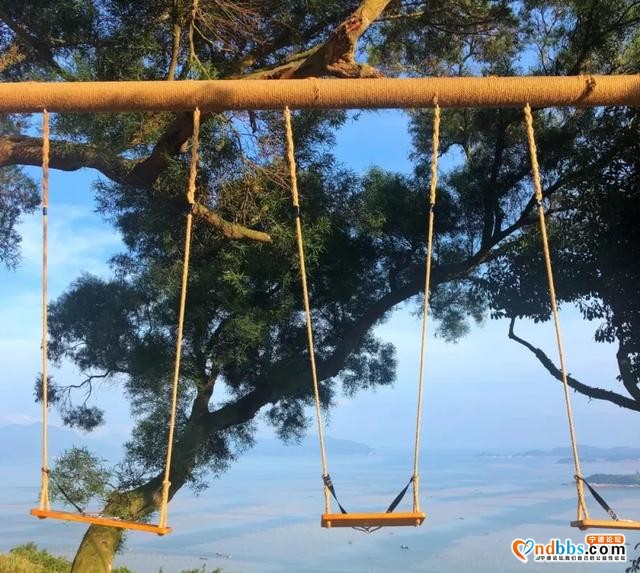 国庆游民宿推荐 | 面朝大海、无边星空泳池，这家民宿美到让人惊喜-14.jpg