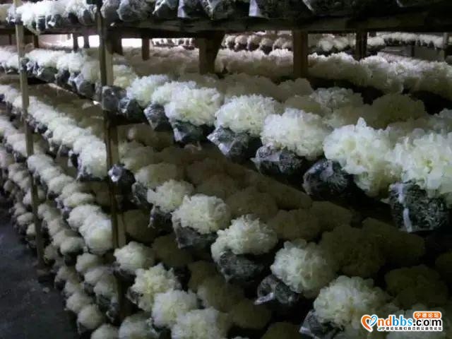最新公示！宁德两地要获国家级新称号！为它们点赞→-5.jpg