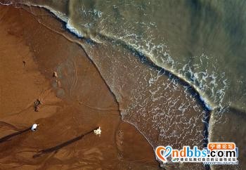 福建霞浦：光影三沙 醉美滩涂-1.jpg