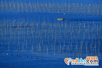 福建霞浦：光影三沙 醉美滩涂-5.jpg