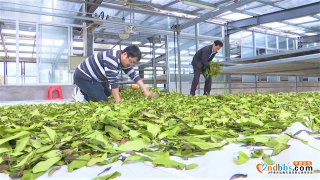 台企助农话融合 互利互惠谱新篇-5.jpg