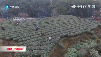 通“小高速”了！宁德这个地方，有好故事也有好味道，约吗？-8.jpg