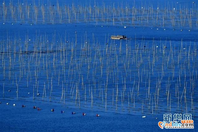 美在霞浦：光影三沙 醉美滩涂-5.jpg