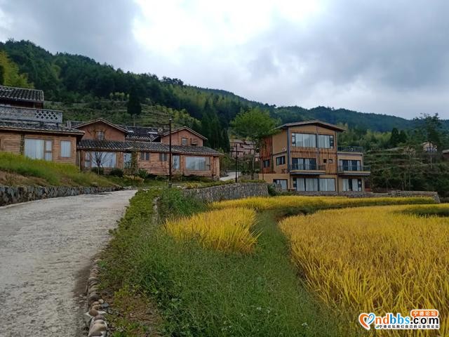 文旅部推荐300条全国乡村旅游精品线路，寿宁是福建第一条（一）-3.jpg