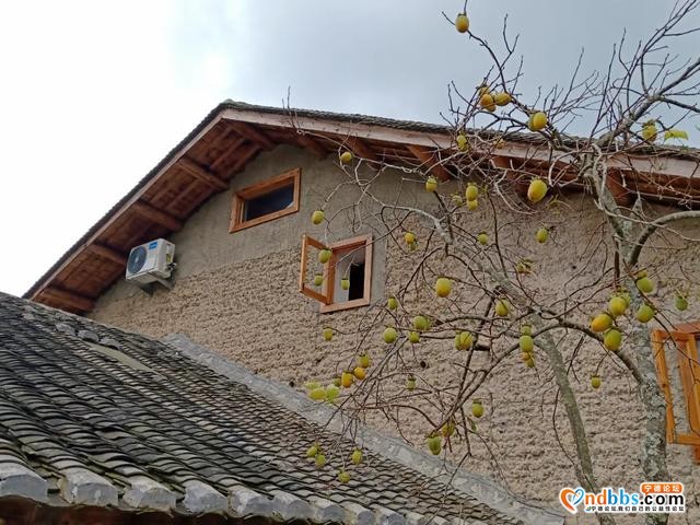 文旅部推荐300条全国乡村旅游精品线路，寿宁是福建第一条（一）-5.jpg