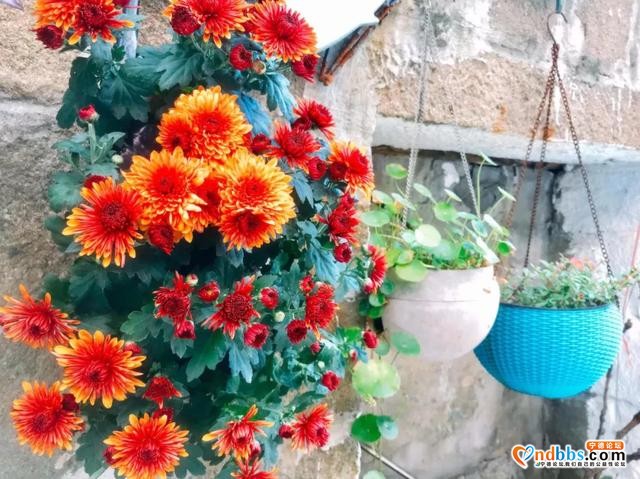 宁德周边游 | 宫崎骏同款“七彩童话村”！人少景美，动车可直达-5.jpg