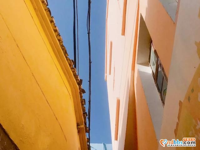 宁德周边游 | 宫崎骏同款“七彩童话村”！人少景美，动车可直达-11.jpg