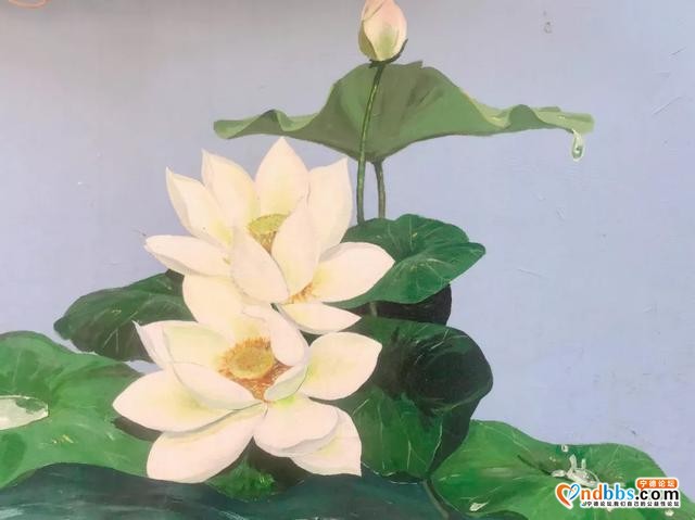 宁德周边游 | 宫崎骏同款“七彩童话村”！人少景美，动车可直达-28.jpg