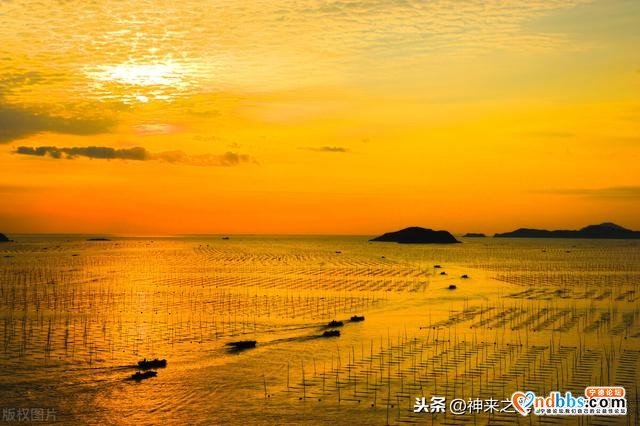 宁德市国际诗篇-2.jpg