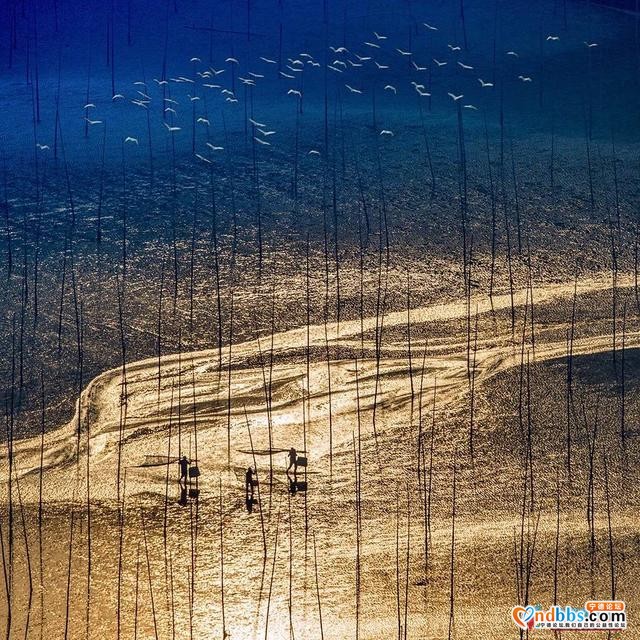每日一村 | 围江-5.jpg