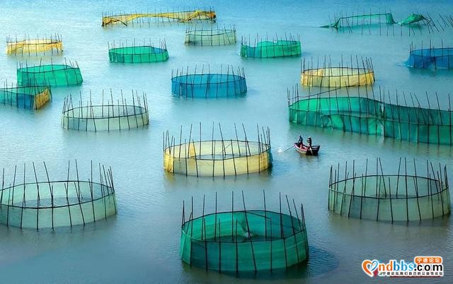 每日一村 | 围江-7.jpg