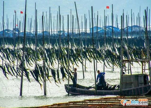 每日一村 | 围江-3.jpg