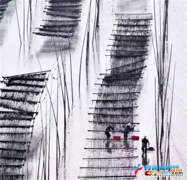 吃住游 | 滩涂美景，尽收眼底-2.jpg