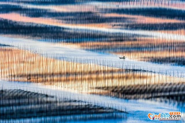 吃住游 | 滩涂美景，尽收眼底-16.jpg