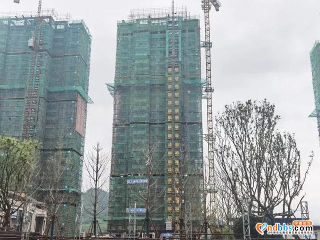 匠心精筑 不负期盼丨恒大未来城十月家书-14.jpg