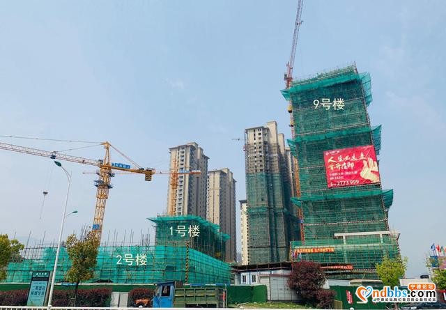 宁德热盘新房工程进度最新播报 匠心浇筑 “家”速赶来-4.jpg