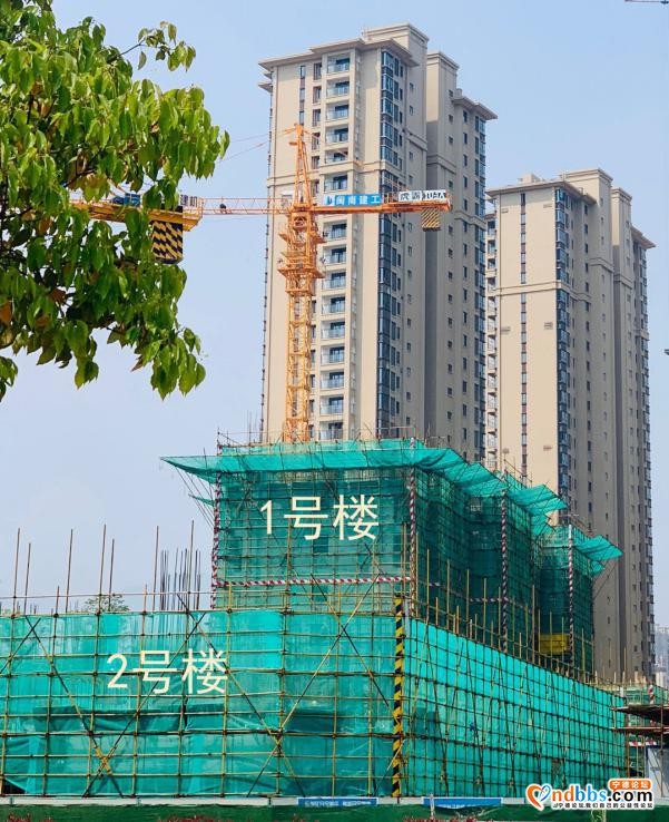 宁德热盘新房工程进度最新播报 匠心浇筑 “家”速赶来-5.jpg