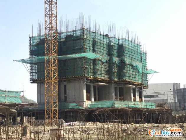 宁德热盘新房工程进度最新播报 匠心浇筑 “家”速赶来-16.jpg