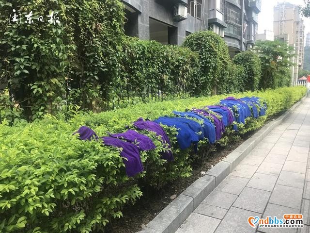 宁德新闻红黑榜?丨这些飘红榜~有爱心，有责任心……-10.jpg