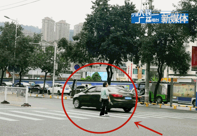 曝光！| 斑马线前疾驰过，机动车礼让行人只是说说而已？-3.jpg