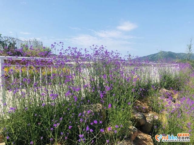 就在宁德！2000亩休闲农场，彩虹滑草场、山地卡丁车、高空滑索 吃喝玩乐一条龙！（一）-5.jpg
